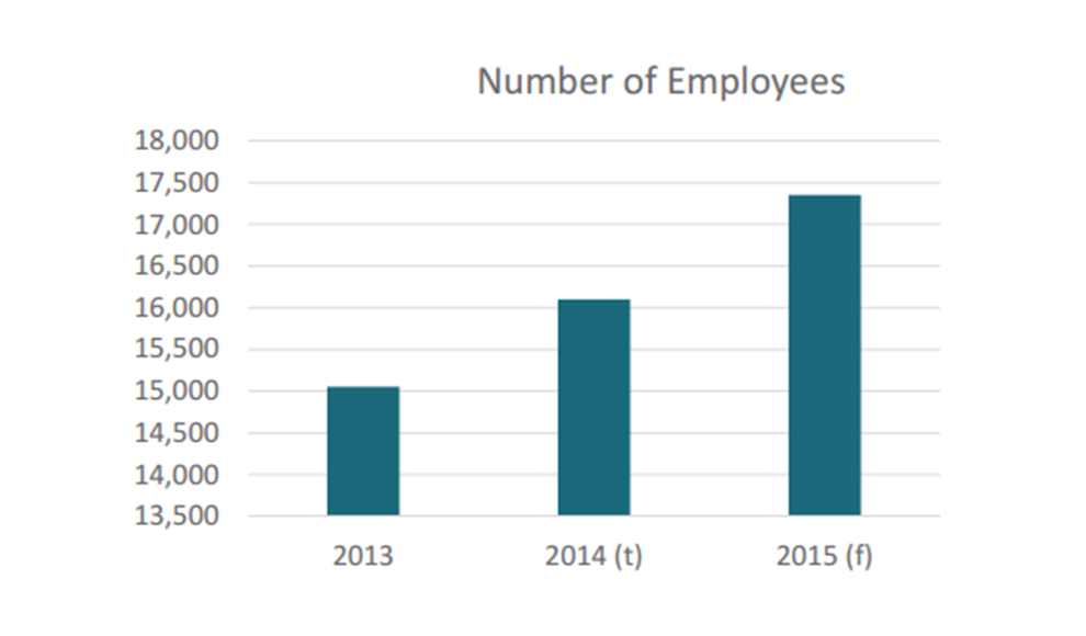 Bar chart of the number of employees from 2013 to 2015.