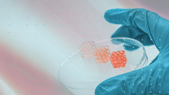 Hand in blue glove holding a Petri dish with three samples.
