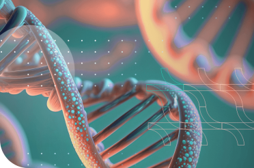 DNA double helix model.