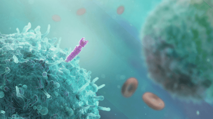 Microscopic image of a cell and protein structure.