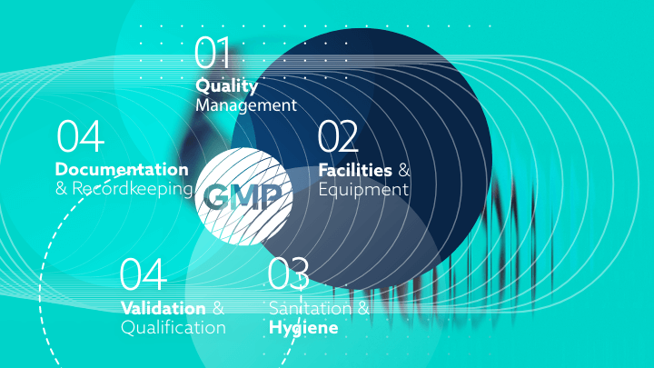 Diagram of GMP requirements: Quality Management, Documentation, Sanitation.