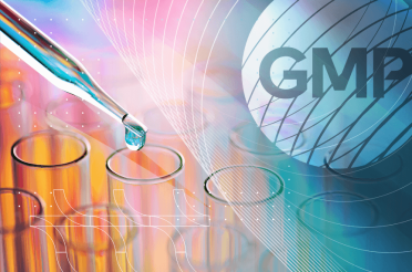 Test tubes, pipette with liquid, and GMP logo – Good Manufacturing Practice.