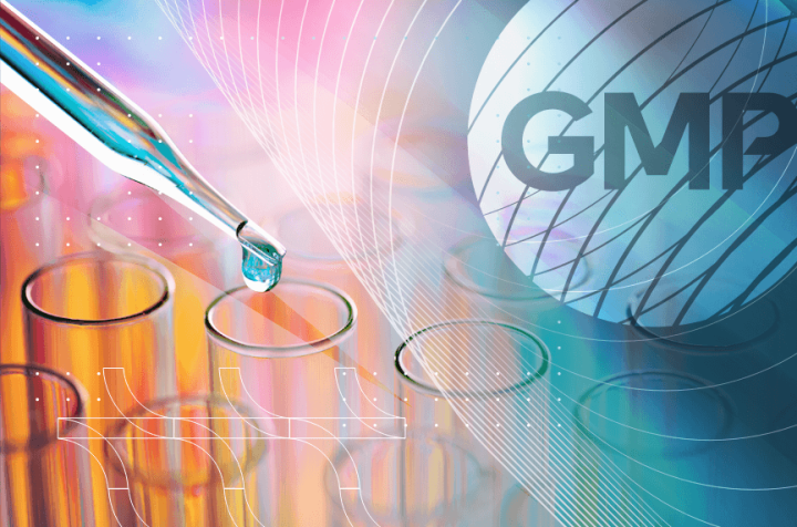 Test tubes, pipette with liquid, and GMP logo – Good Manufacturing Practice.