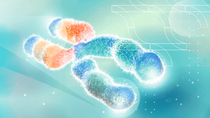 Chromosome with DNA, symbolizing genetics.
