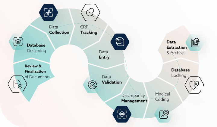 Diagram of a clinical trial data management process.