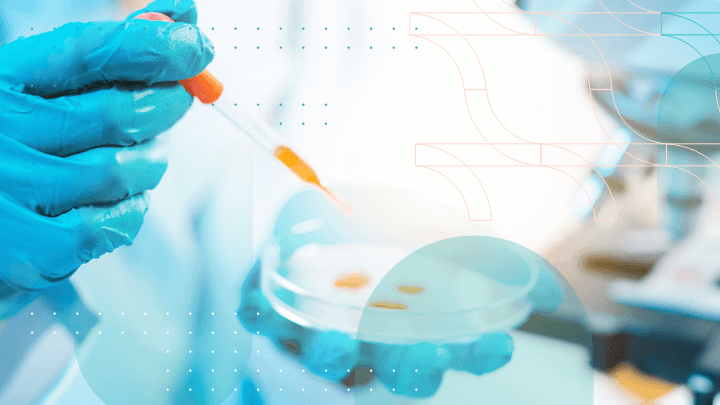 Scientist wearing gloves working with a pipette and Petri dish.