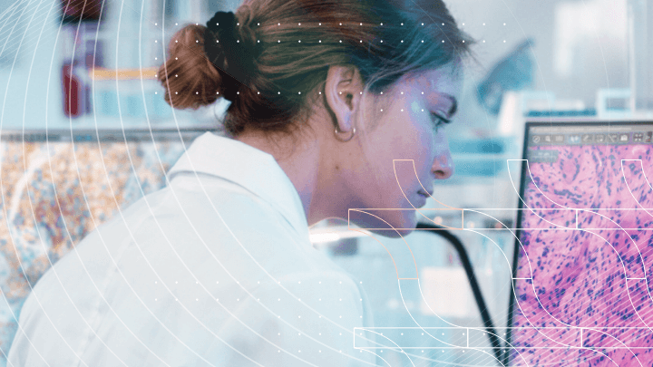 Young woman analyzing a digital image on a monitor.