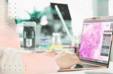 Laptop displaying a digital microscope image while a person types.