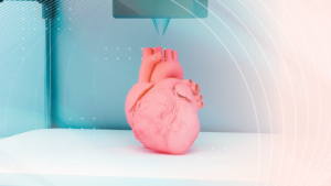 3D printer creating a model of a human heart.