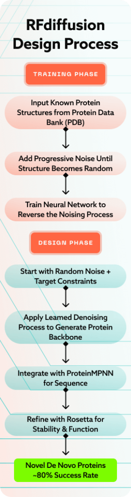 Diagram of the process for designing new proteins using RFdiffusion and artificial intelligence.